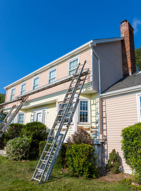 Best Steel Siding Installation  in Amelia, LA