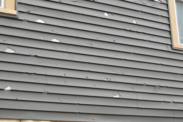 Best Insulated Siding Installation  in Amelia, LA