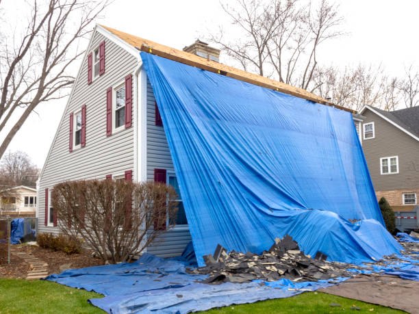 Best Aluminum Siding Installation  in Amelia, LA