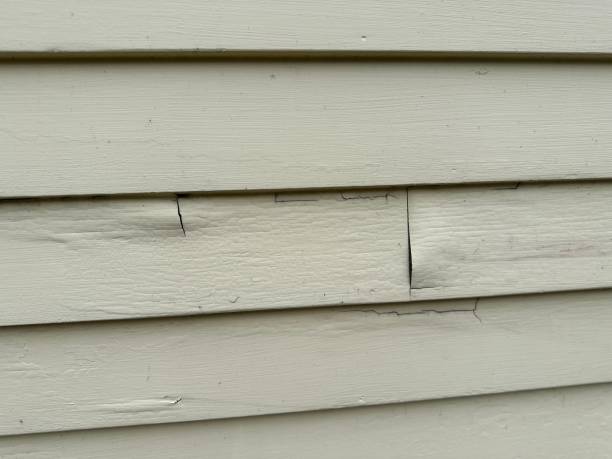 Best Wood Siding Installation  in Amelia, LA